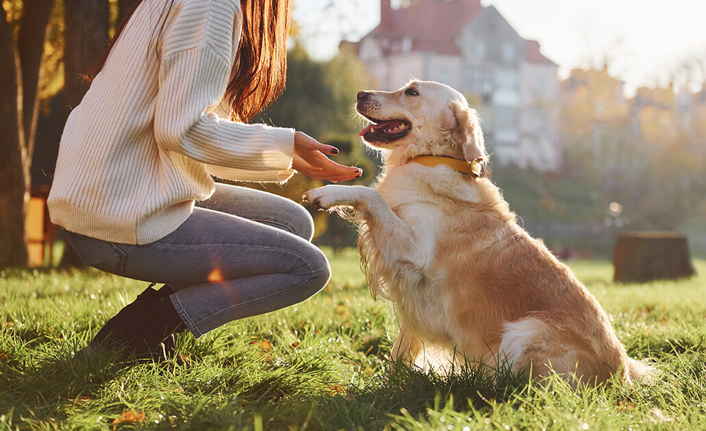 A woman and dog interacting on a multi-family property