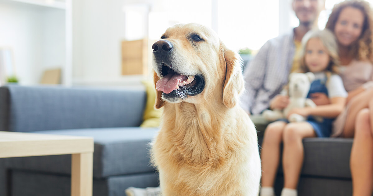 Happy dog in front of a family sitting on a couch in a pet-friendly living room