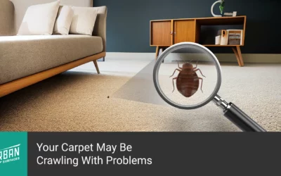 Your Carpet May Be Crawling With Problems
