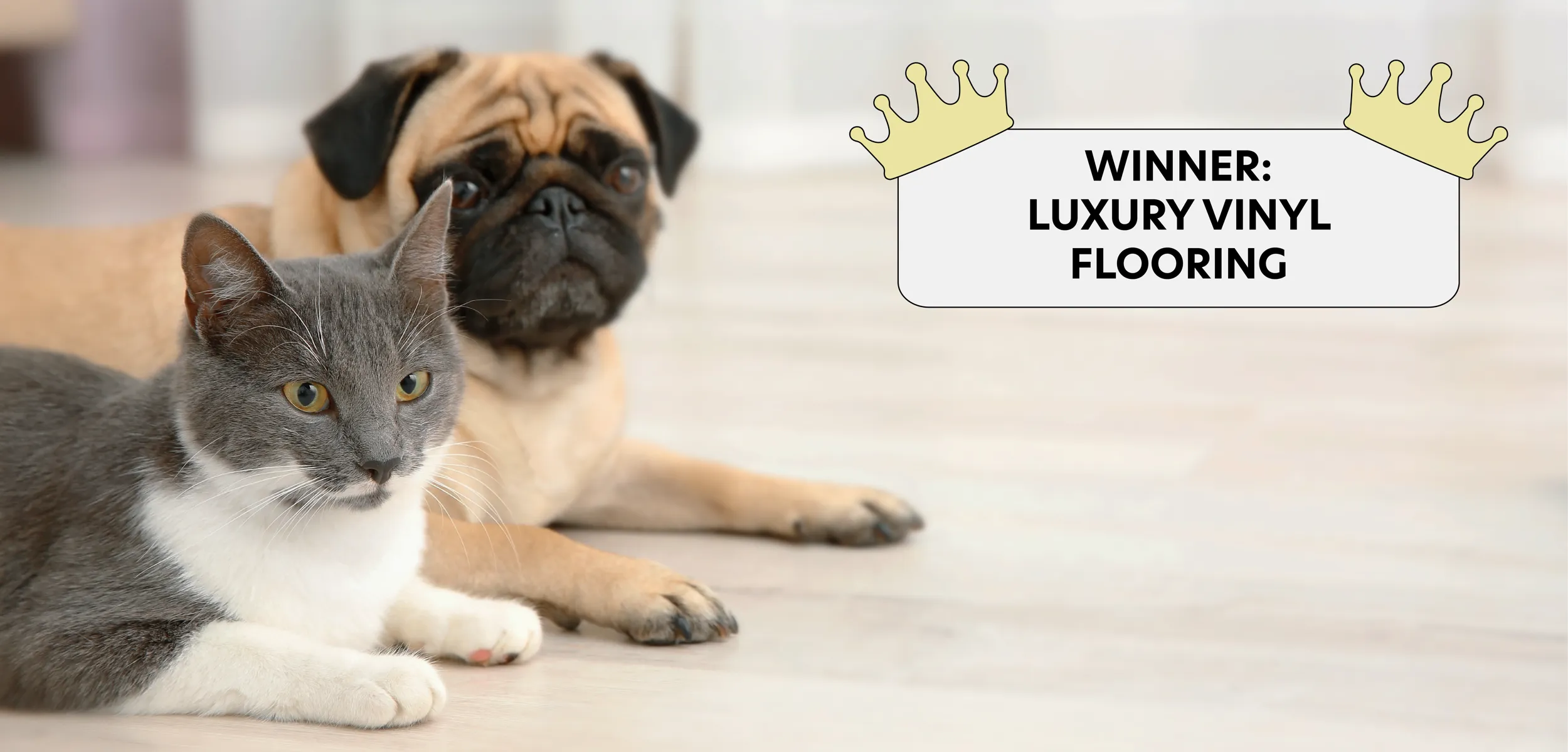 Dog and cat laying next to each other on top of Luxury Vinyl Flooring.