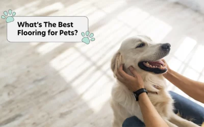 What’s The Best Flooring for Pets?
