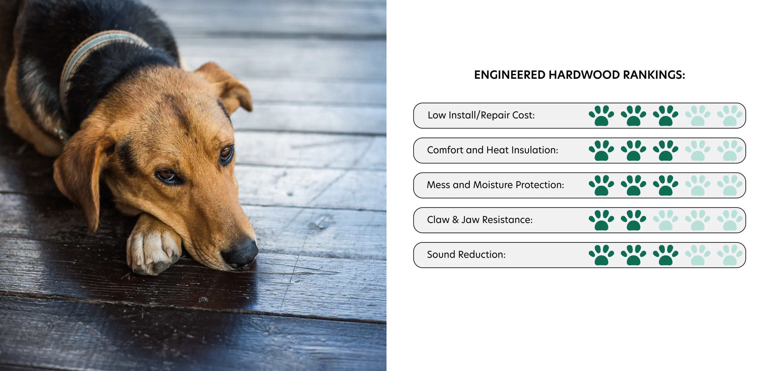 Dog resting on Engineered Hardwood flooring. Engineered Hardwood rankings in best flooring for pets. Low Install/Repair Cost: 3 Paws. Comfort and Heat Insulation: 3 Paws. Mess and Moisture Protection: 3 Paws. Claw & Jaw Resistance: 2 Paws. Sound Reduction: 3 Paws.