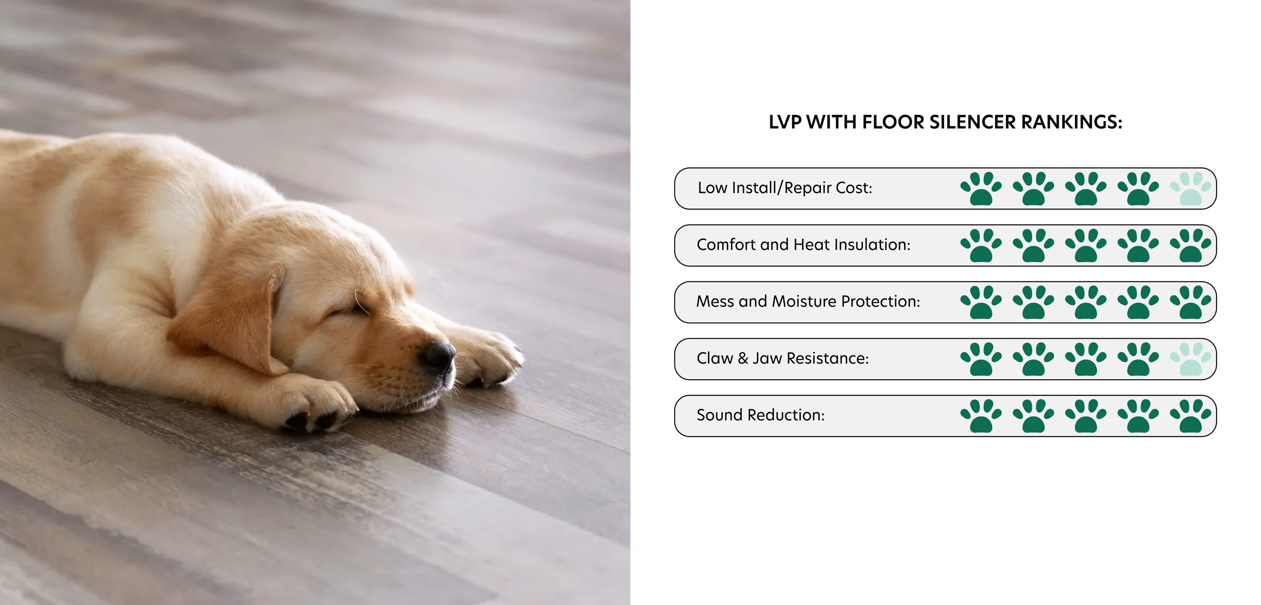 Sleeping dog resting on LVP flooring. LVP rankings in best flooring for pets. Low Install/Repair Cost: 4 Paws. Comfort and Heat Insulation: 5 Paws. Mess and Moisture Protection: 5 Paws. Claw & Jaw Resistance: 4 Paws. Sound Reduction: 5 Paws.