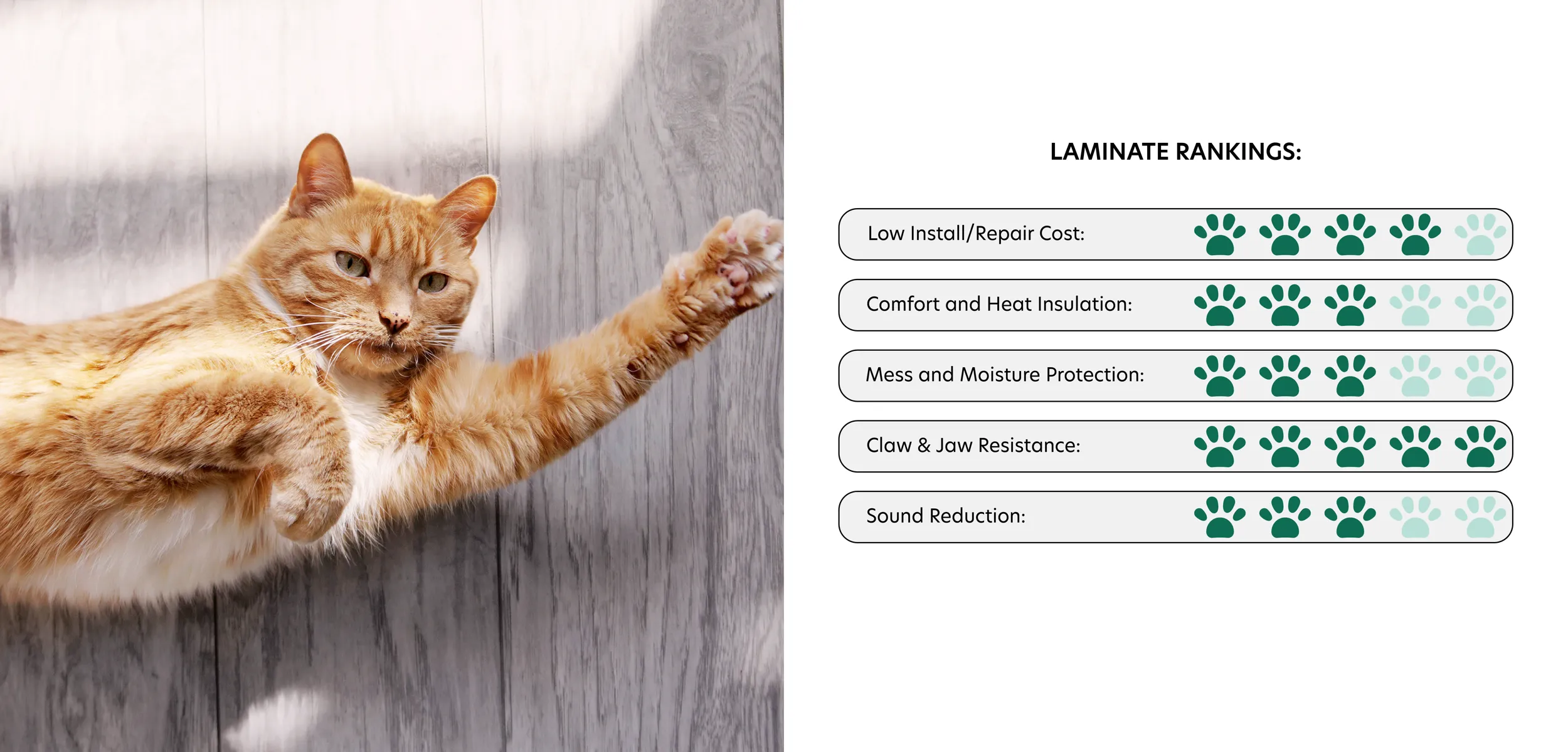 Orange cat stretching out on laminate flooring. Laminate rankings in best flooring for pets. Low Install/Repair Cost: 4 Paws. Comfort and Heat Insulation: 3 Paws. Mess and Moisture Protection: 3 Paws. Claw & Jaw Resistance: 5 Paws. Sound Reduction: 3 Paws.
