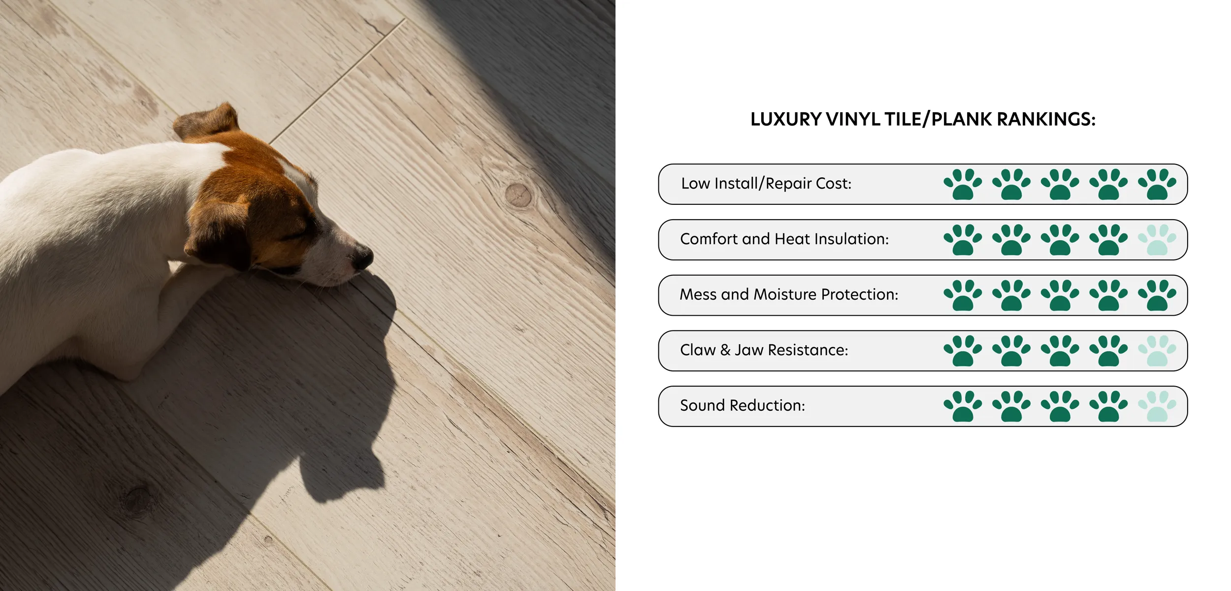 Sleeping dog resting on LVP flooring. Luxury Vinyl Plank rankings in best flooring for pets. Low Install/Repair Cost: 5 Paws. Comfort and Heat Insulation: 4 Paws. Mess and Moisture Protection: 5 Paws. Claw & Jaw Resistance: 4 Paws. Sound Reduction: 4 Paws.