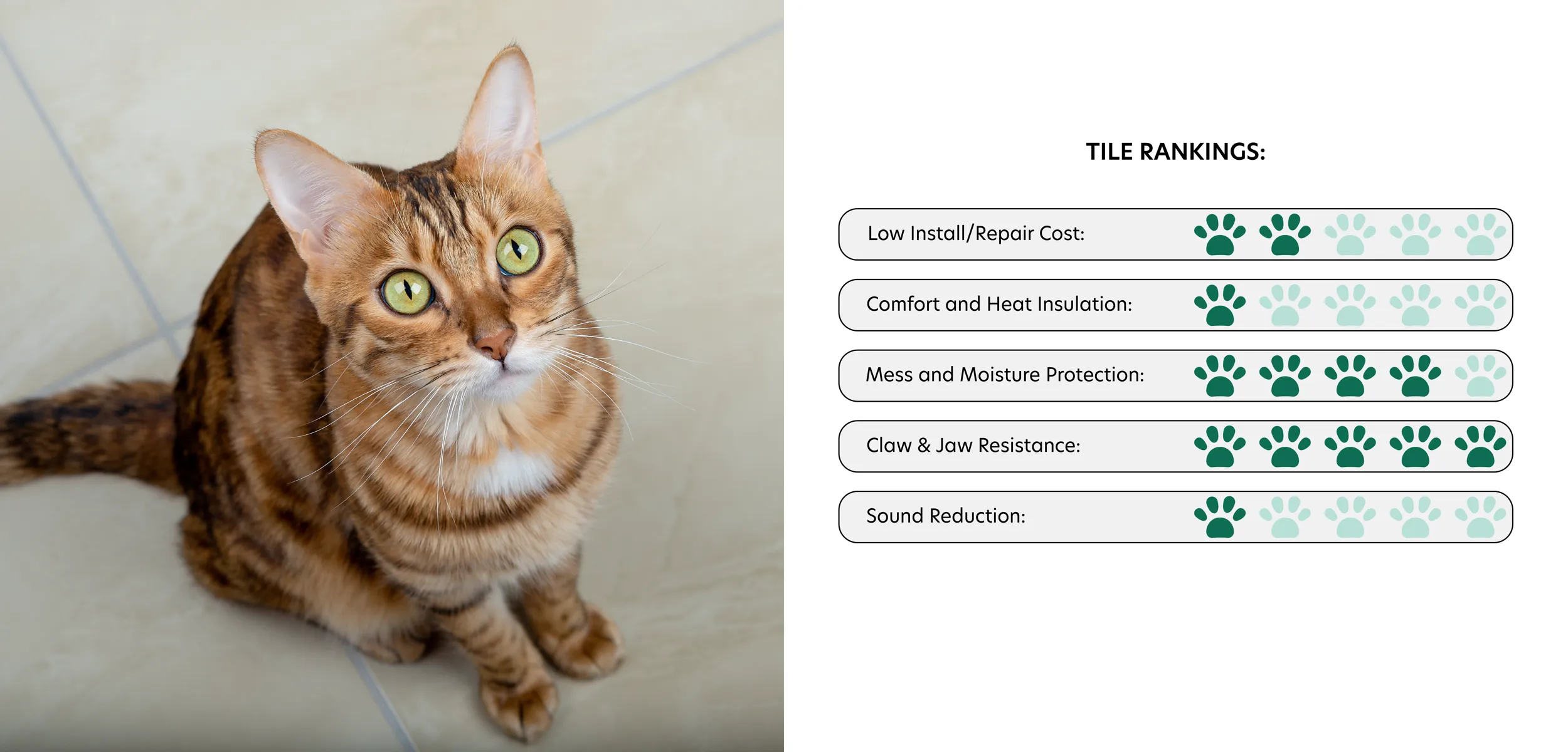 Orange cat with green eyes sitting on tile and looking up. Tile rankings in best flooring for pets. Low Install/Repair Cost: 2 Paws. Comfort and Heat Insulation: 1 Paw. Mess and Moisture Protection: 4 Paws. Claw & Jaw Resistance: 5 Paws. Sound Reduction: 1 Paw.